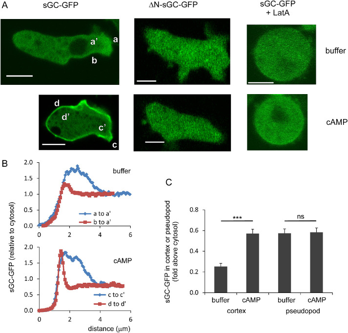 FIGURE 4: