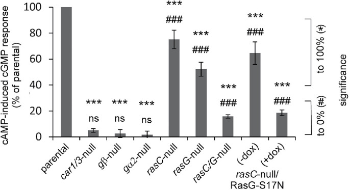 FIGURE 1: