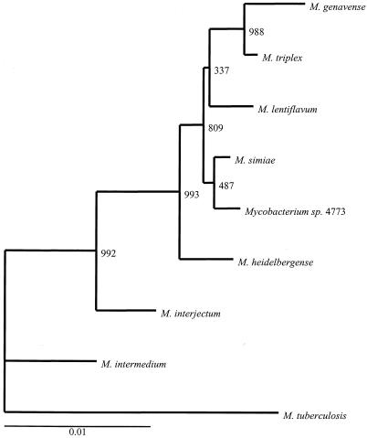 FIG. 4.