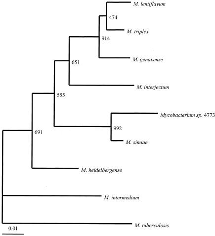 FIG. 5.