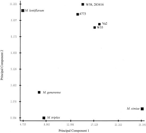 FIG. 2.