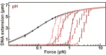 Fig. S5.