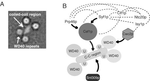 FIG. 8.