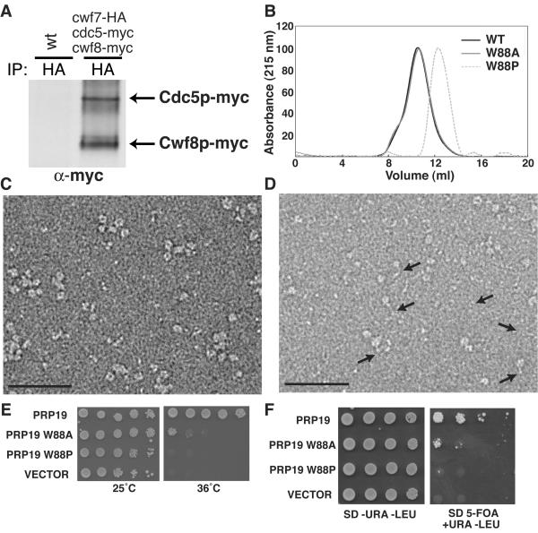 FIG. 7.