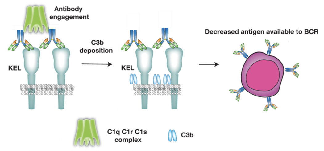 Figure 3: