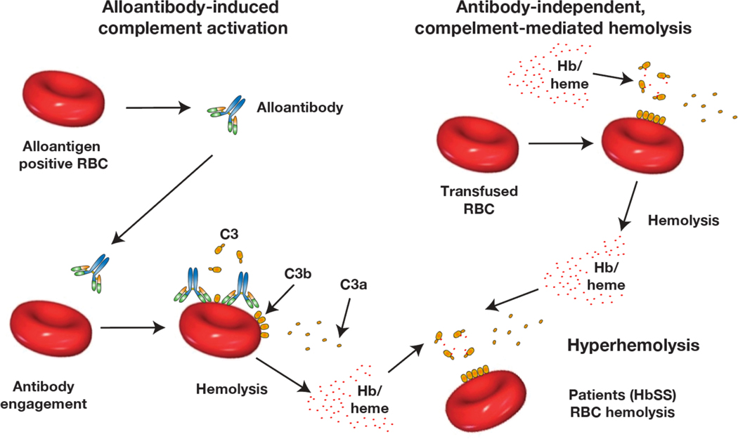 Figure 2: