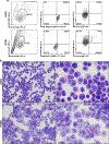 Extended Data Fig. 4 |