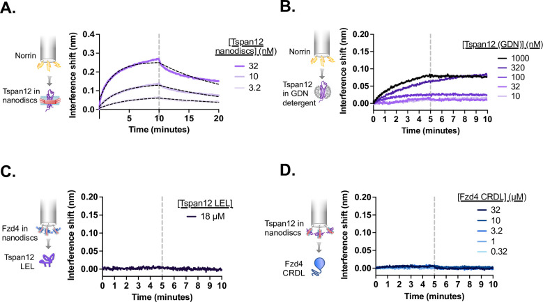 Figure 1—figure supplement 2.