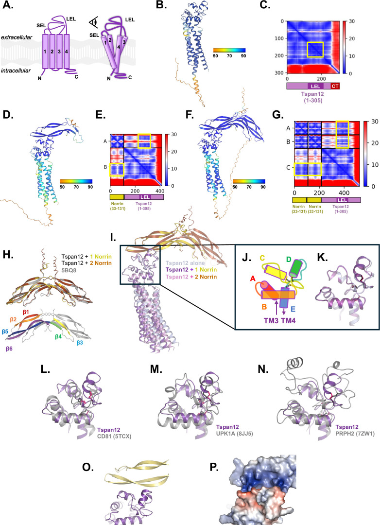 Figure 2—figure supplement 1.