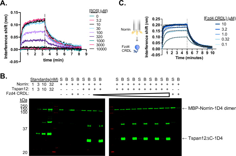 Figure 3—figure supplement 1.