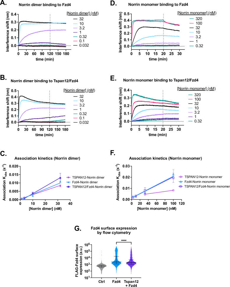 Figure 4—figure supplement 3.