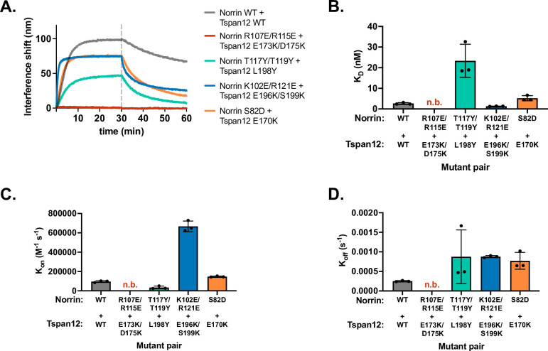 Figure 2—figure supplement 4.