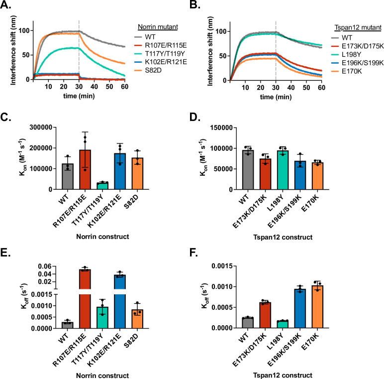 Figure 2—figure supplement 3.