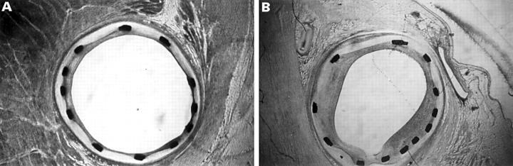 Figure 3  