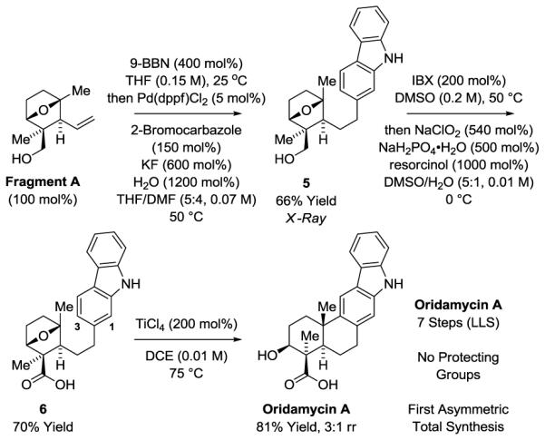 Scheme 3