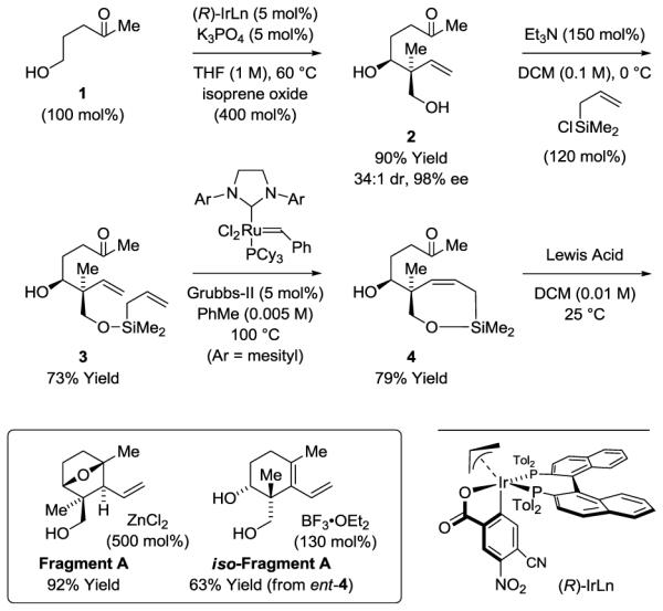 Scheme 2