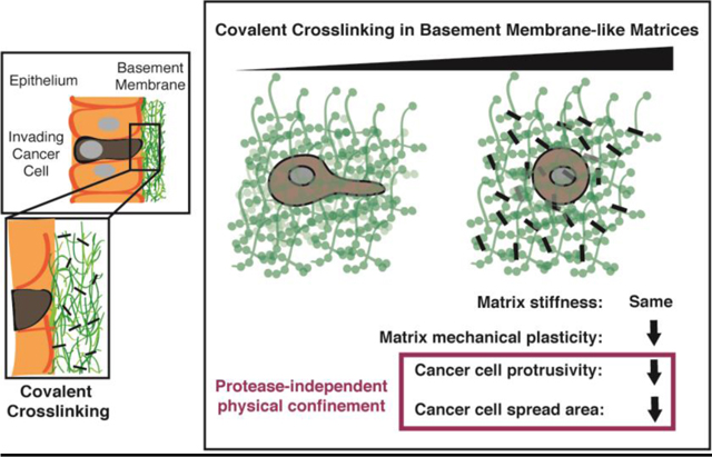 graphic file with name nihms-1038413-f0008.jpg