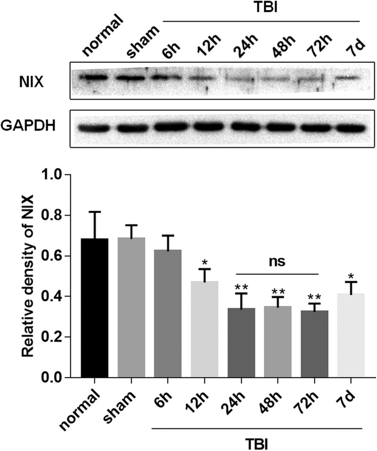 Fig 2.