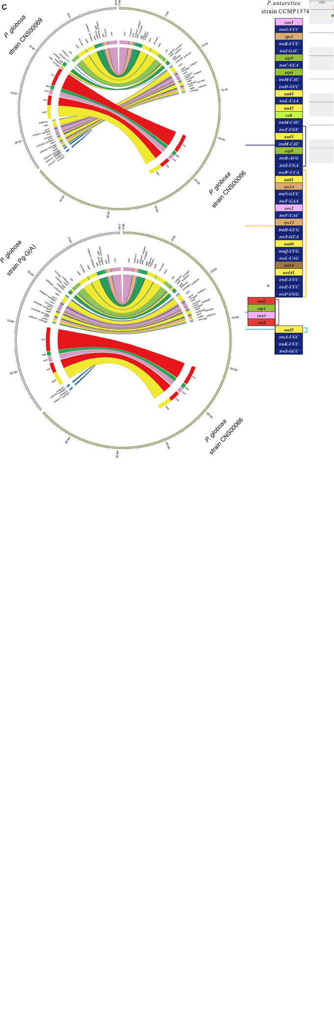 FIGURE 3