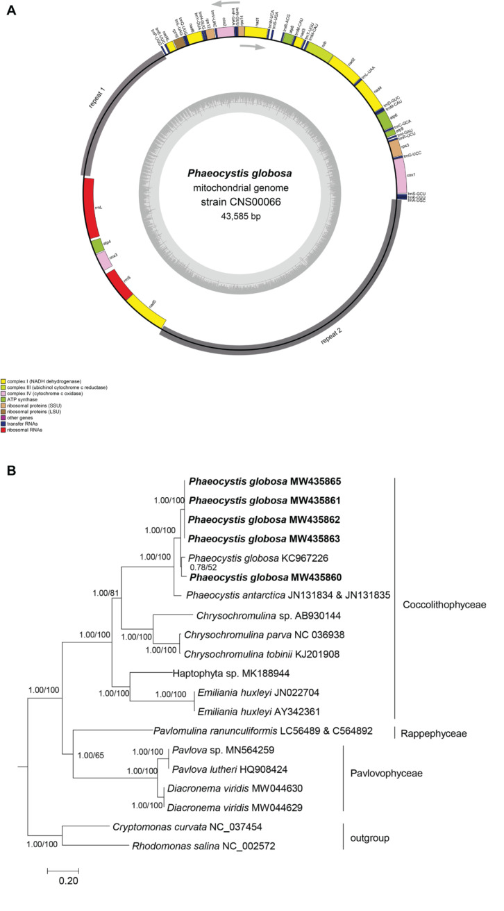 FIGURE 2