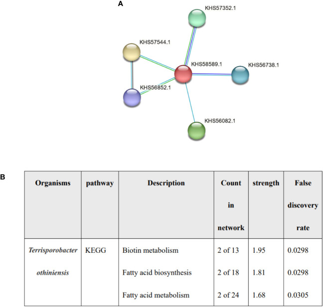 Figure 5