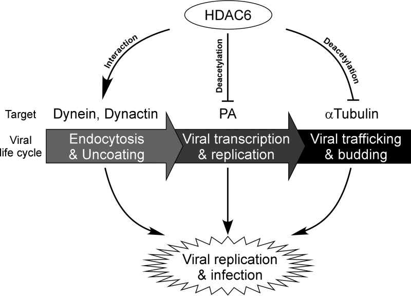 FIG 6