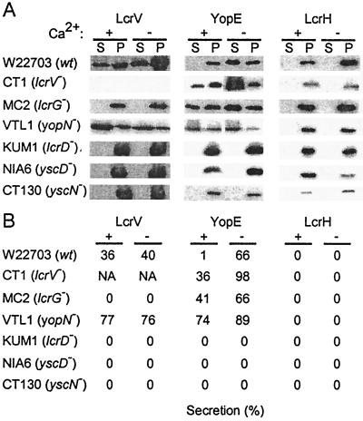 FIG. 6