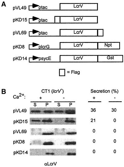 FIG. 8