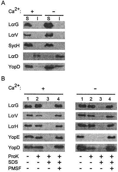 FIG. 5