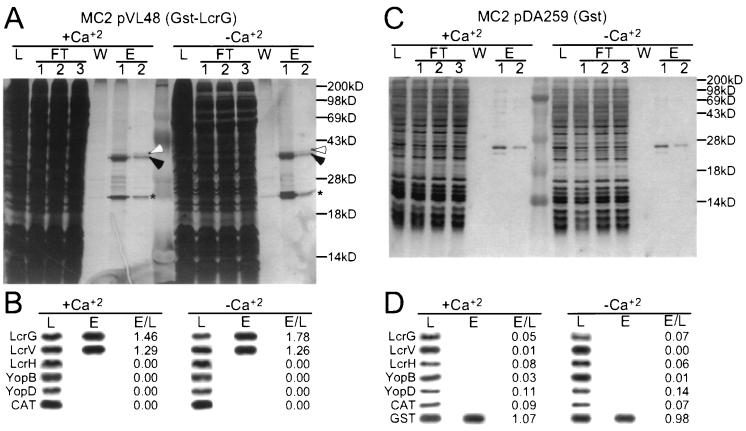 FIG. 4