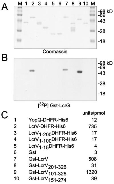 FIG. 7