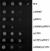 FIGURE 4.