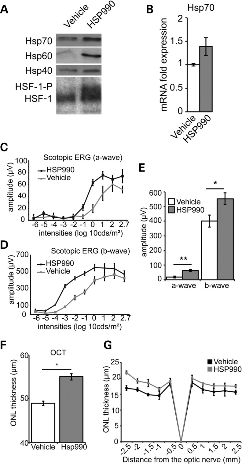 Figure 1.