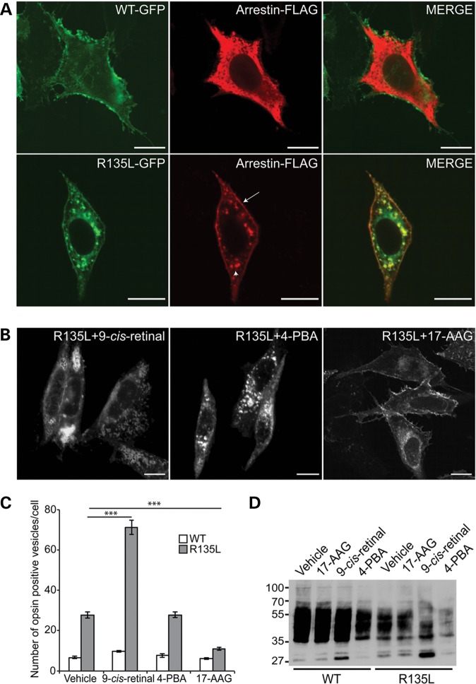 Figure 3.