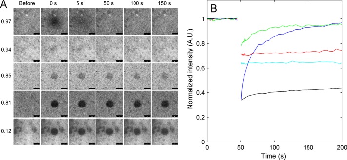 Fig 3