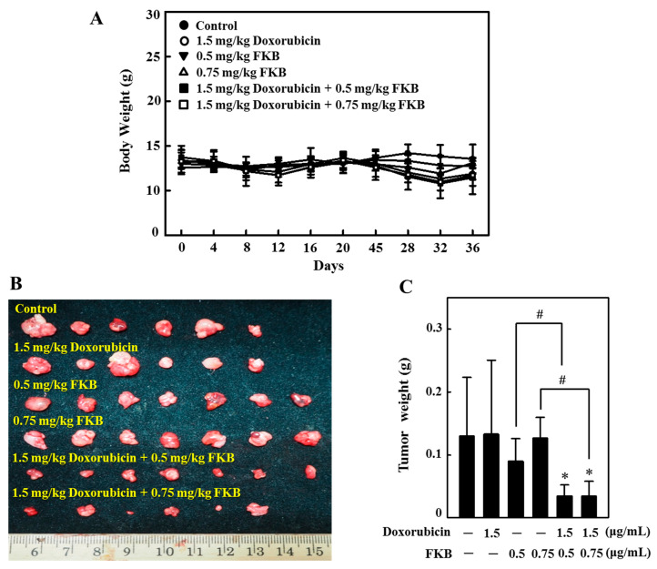 Figure 12