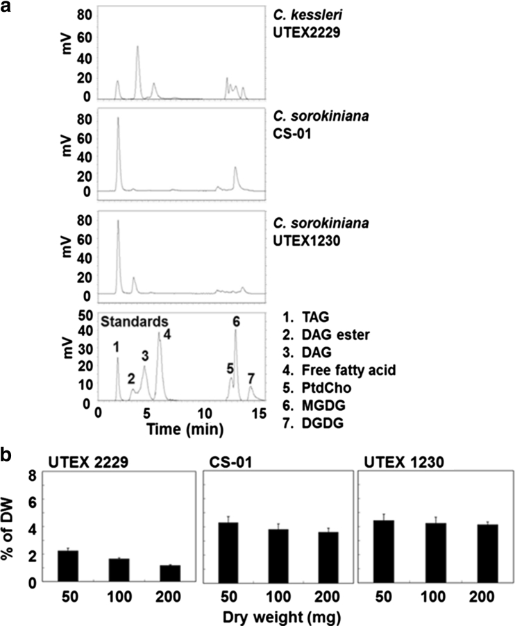 Fig. 7