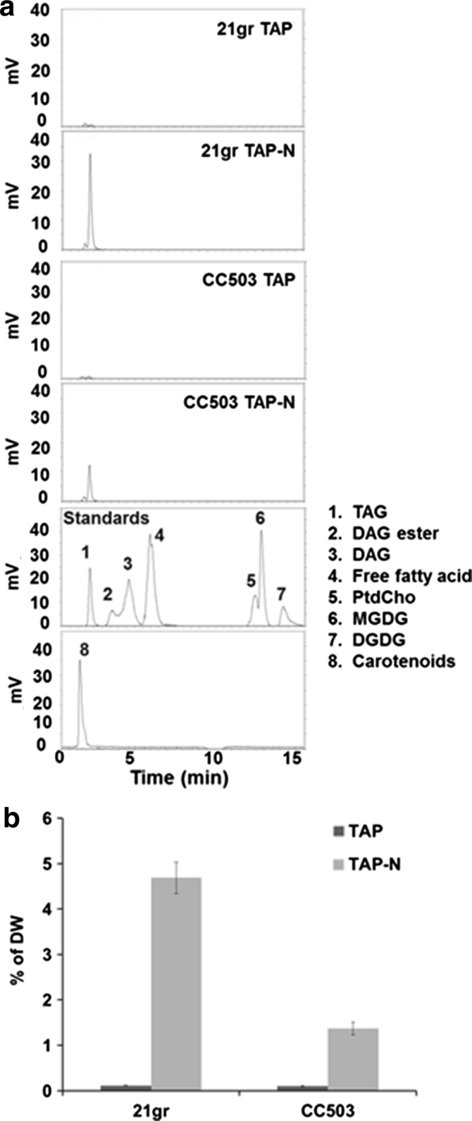 Fig. 3