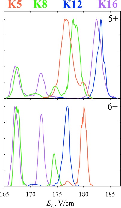 Fig. 5. Normalized spectra for the 5+ and 6+ ions of the 1–25 H4 histone tail (SGRGK5GGK8GLGK12GGAK16RHRKVLRDN) with the biotinylated terminal GSGSK linker, singly acetylated on one of the lysine resides as marked, obtained using DV=5.4 kV, 46 : 54 He/N2 mixture, and t=0.2 s.32)