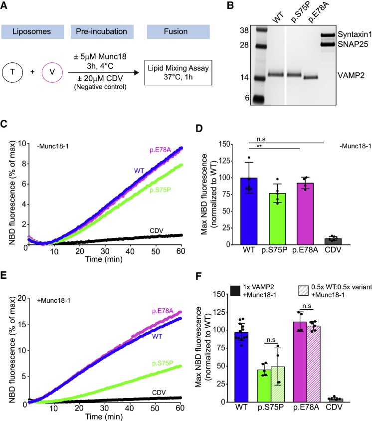 Figure 4