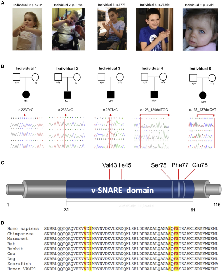 Figure 2