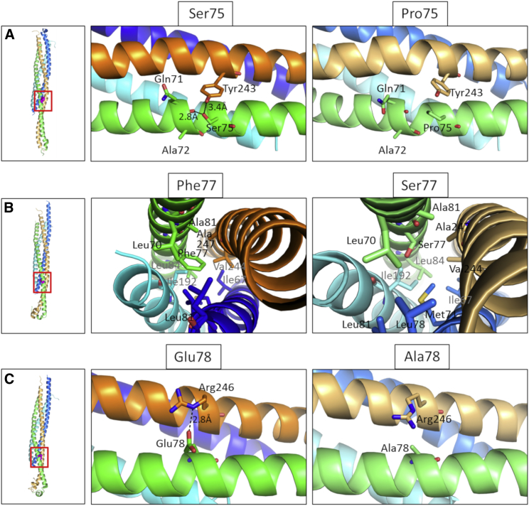 Figure 3