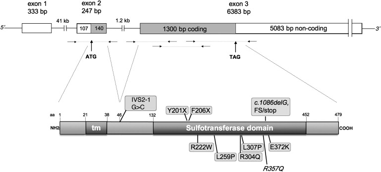 Figure 2