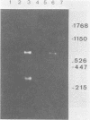 468