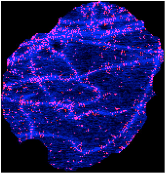 Fig. 3