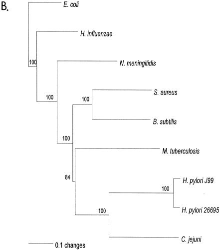 FIG. 1.