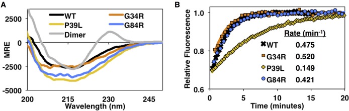 Figure 9—figure supplement 1.