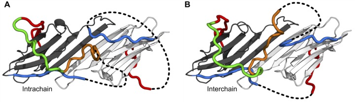 Figure 8—figure supplement 1.