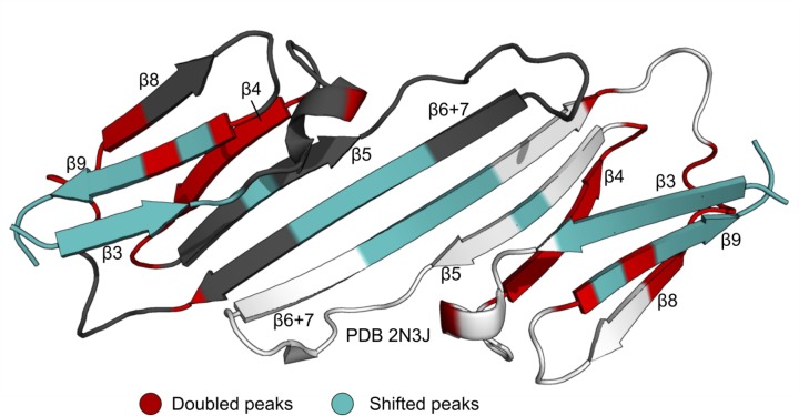 Figure 2—figure supplement 2.