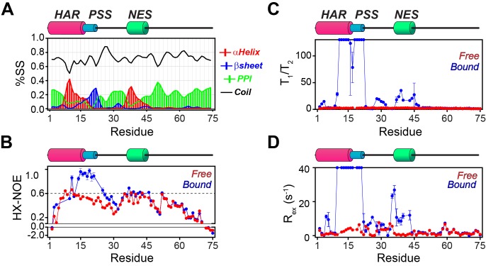 Figure 3—figure supplement 2.